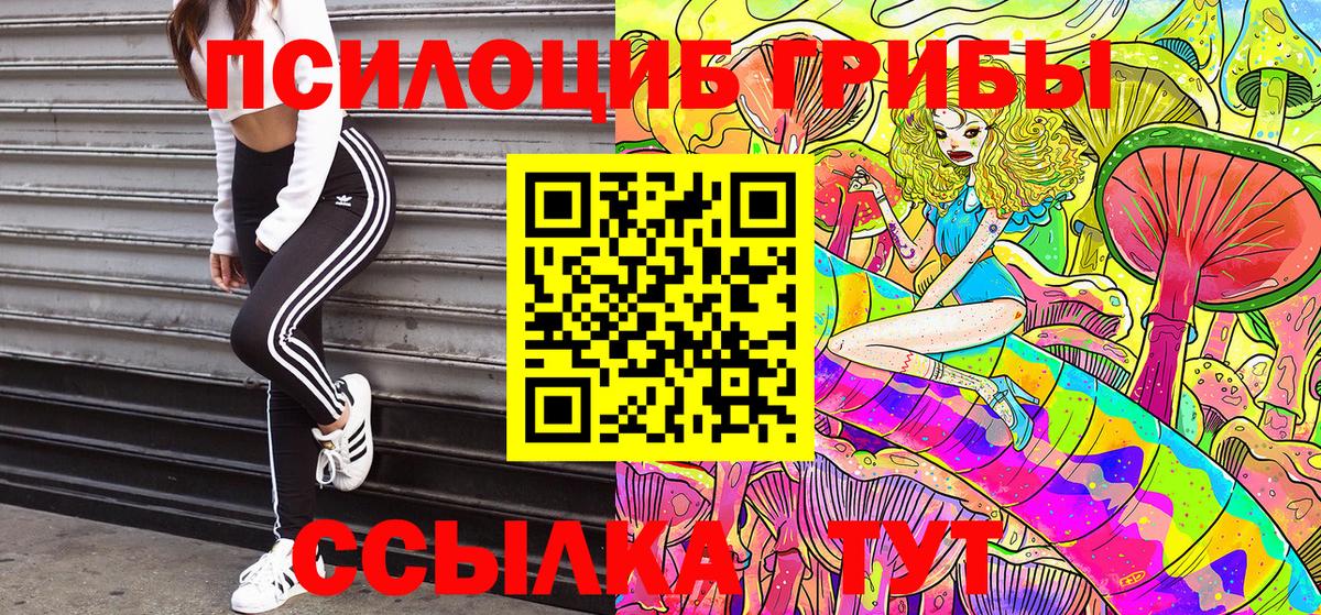 Галлюциногенные грибы Magic Shrooms  наркошоп  Касимов  Вход с VPN 