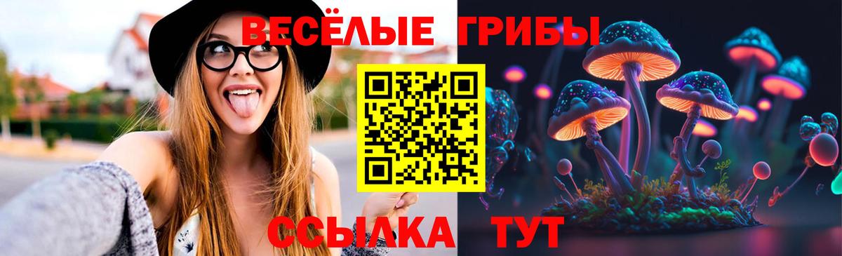 Галлюциногенные грибы прущие грибы Касимов